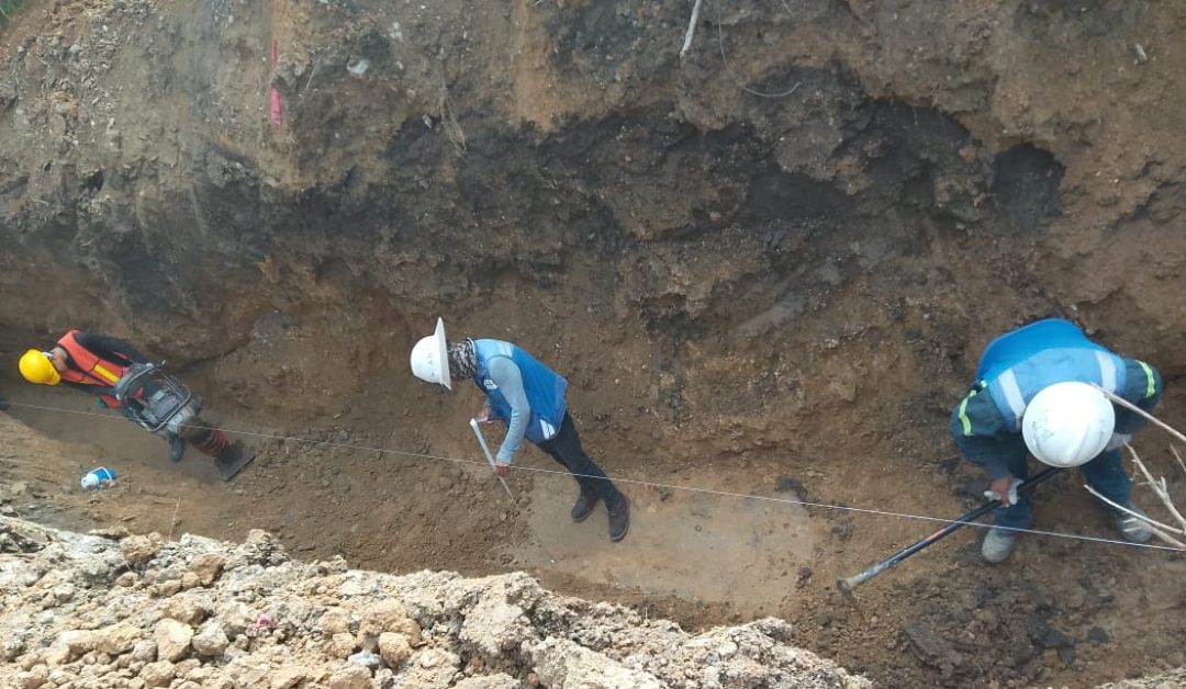 fa8806bf-4511-4ed3-a31e-a14f2292ecd3